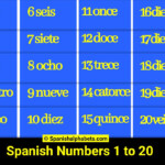 A Beginner s Guide To Spanish Numbers 1 To 20