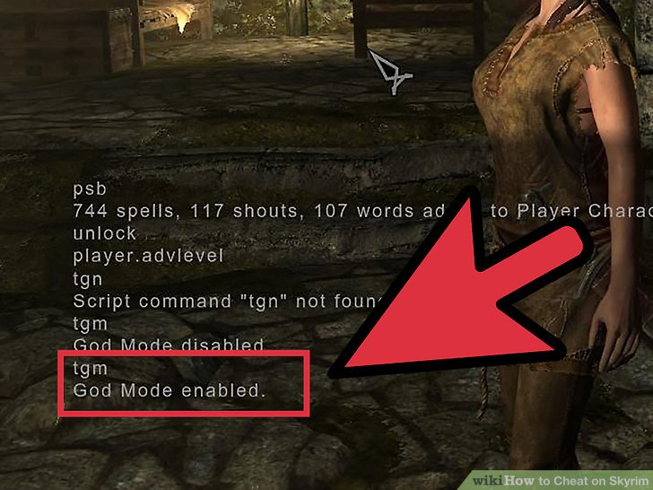 How To Cheat On Skyrim 6 Steps with Pictures WikiHow