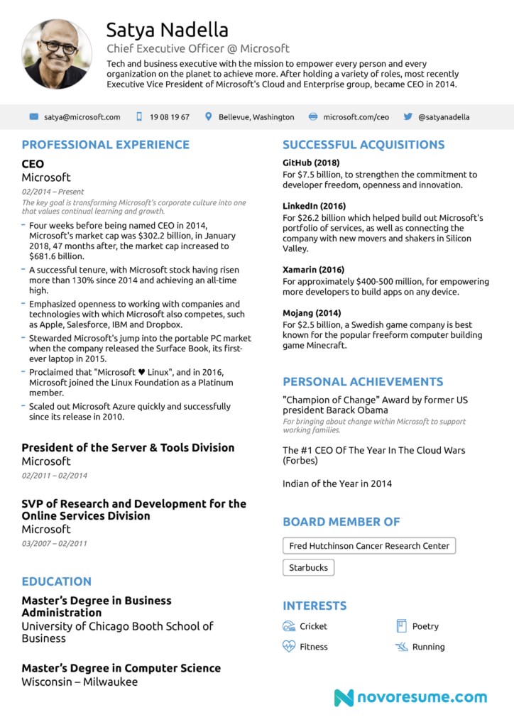 How To Write A CEO Resume With Examples Template 