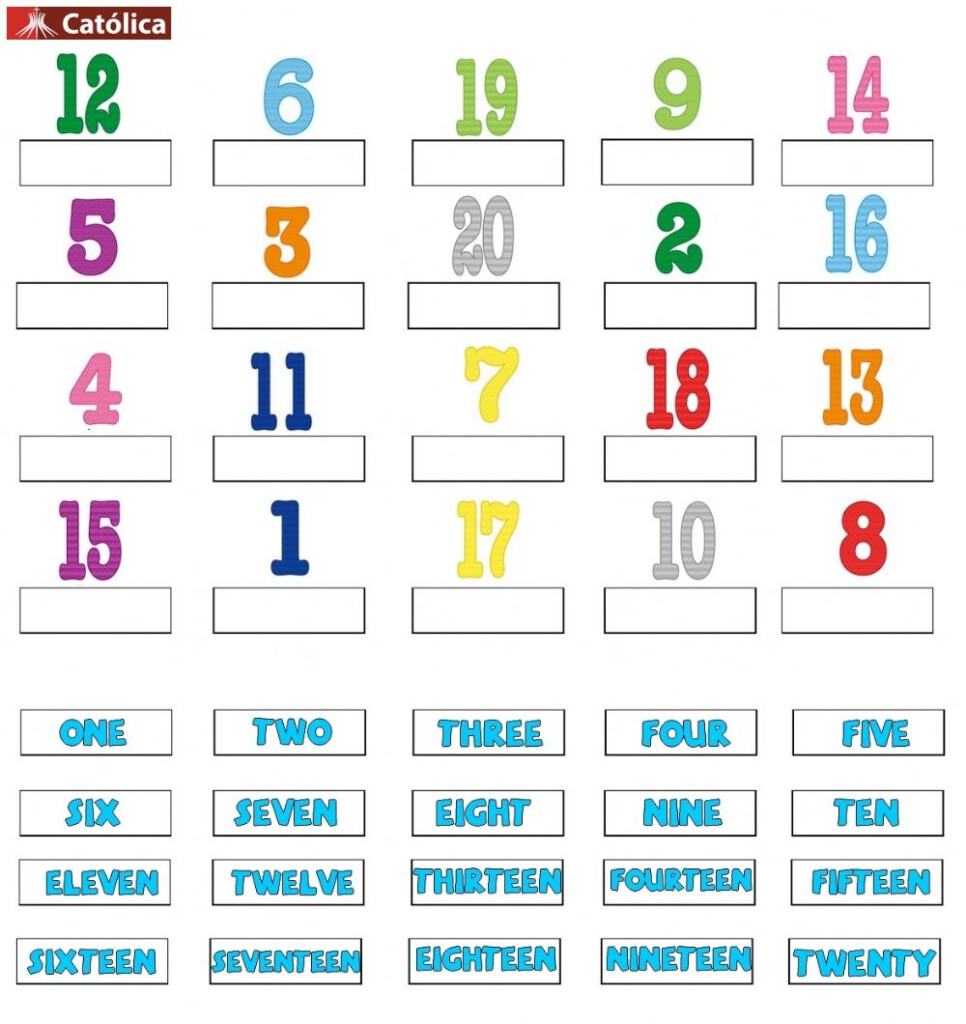 Numbers From 1 To 20 Interactive Worksheet