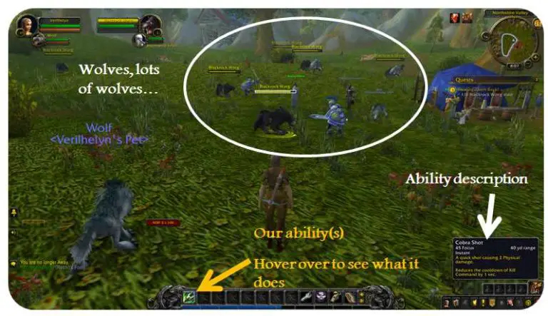 Questing Combat And Movement In World Of Warcraft