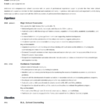 School Counselor Resume Sample Job Description Skills