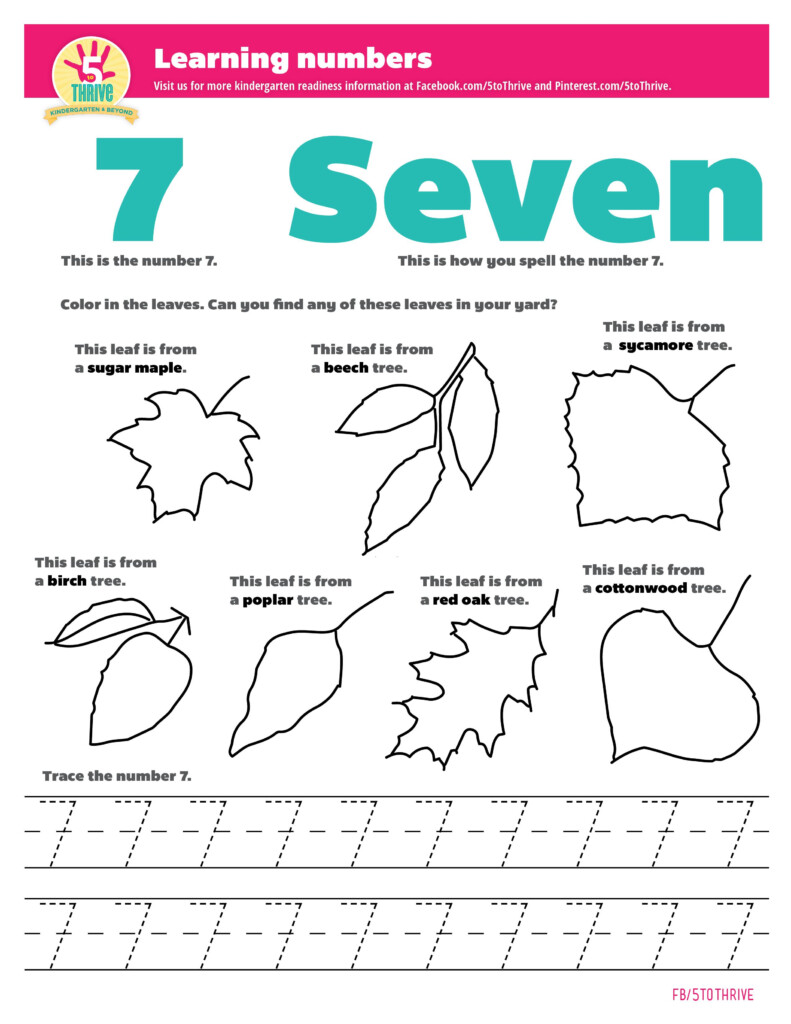 Learning Numbers This Is What The Number 7 Looks Like This Is How You 