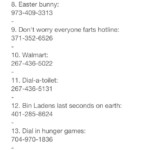 Phone Numbers To Call When Bored Funny Numbers To Call Funny Numbers